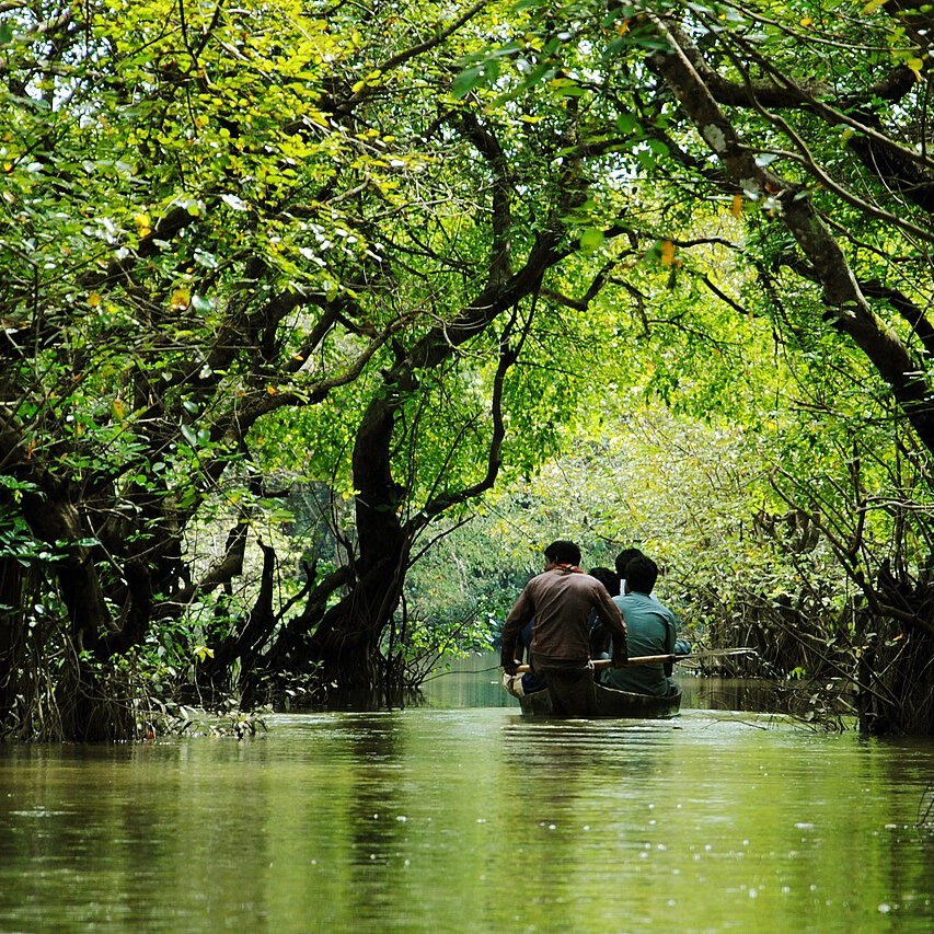 Sylhet Tea Gardens & Ratargul Swamp Forest